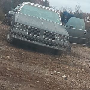 Meet your Posher, Teddy